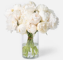 Load image into Gallery viewer, Fragrance Oil & Essential Oil Scents (SCROLL TO READ FULL PAGE) | Wholesale Natural Products