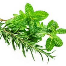 Load image into Gallery viewer, Fragrance Oil & Essential Oil Scents & Additives   (SCROLL TO READ FULL PAGE)