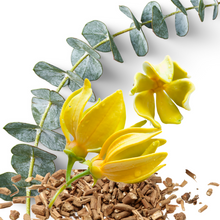 Load image into Gallery viewer, Fragrance Oil & Essential Oil Scents (SCROLL TO READ FULL PAGE) | Wholesale Natural Products